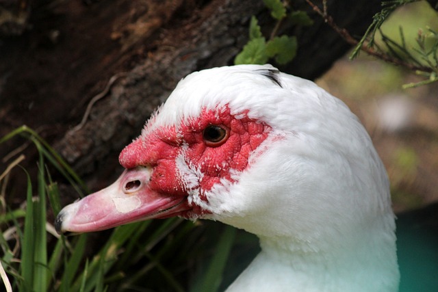 刘若钒：想用中超冠军回报海港，没有他们就没有我今天的一切