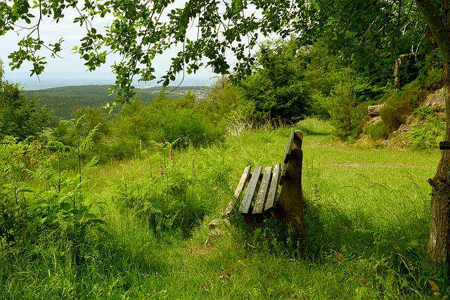 阿夫迪亚连续5场25+5+5，追平利拉德保持的队史纪录